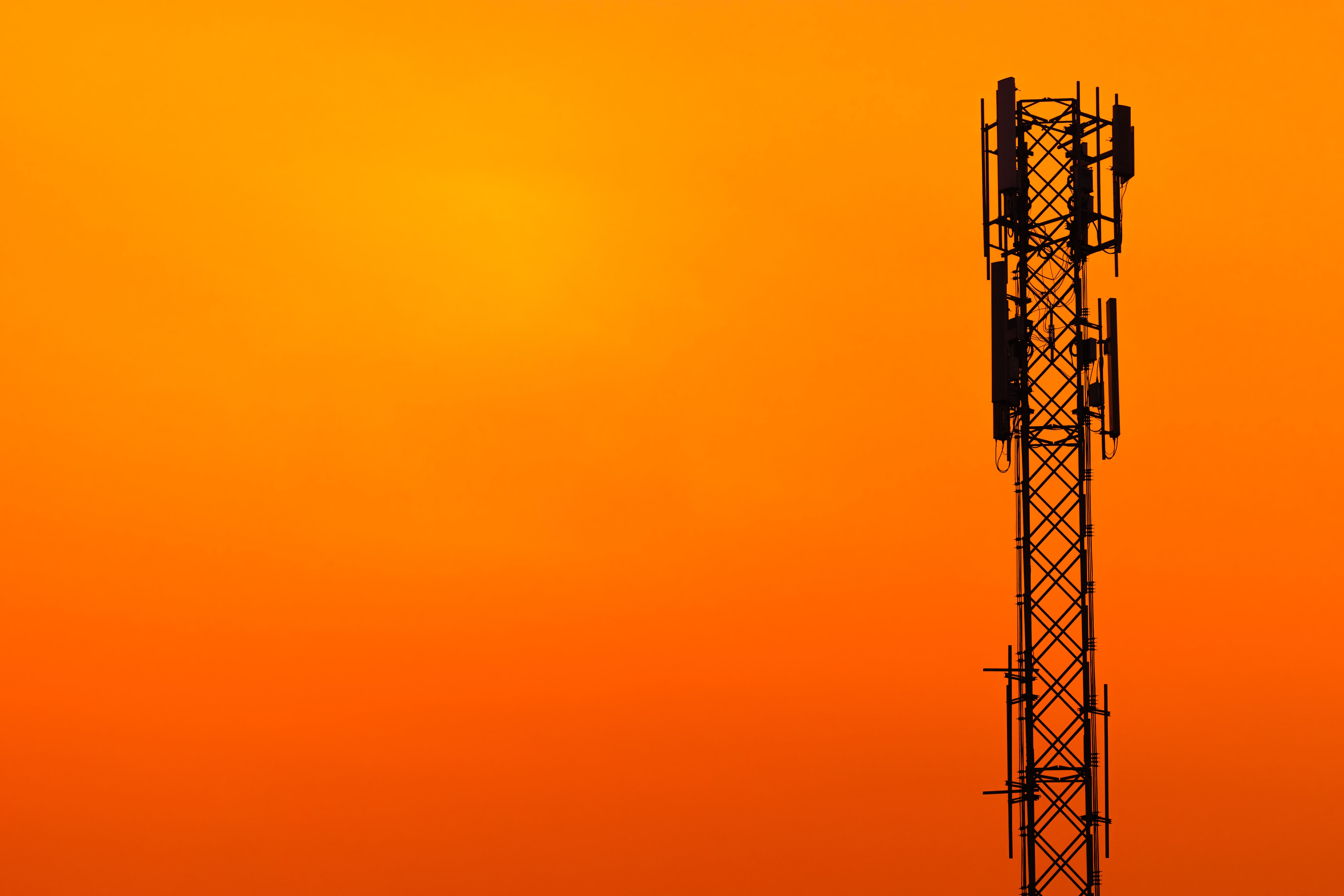 Identity Renewal and Vision for the Future